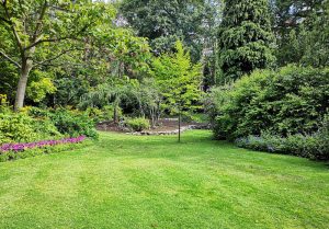 Optimiser l'expérience du jardin à Bignicourt-sur-Saulx